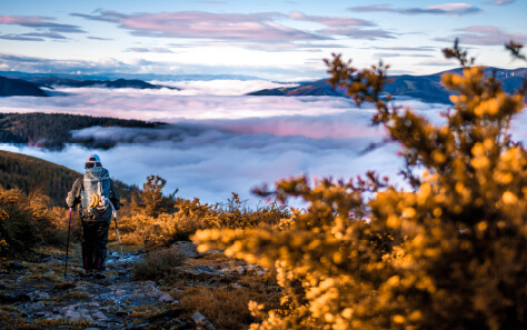 NORTE-harocaminosantiago