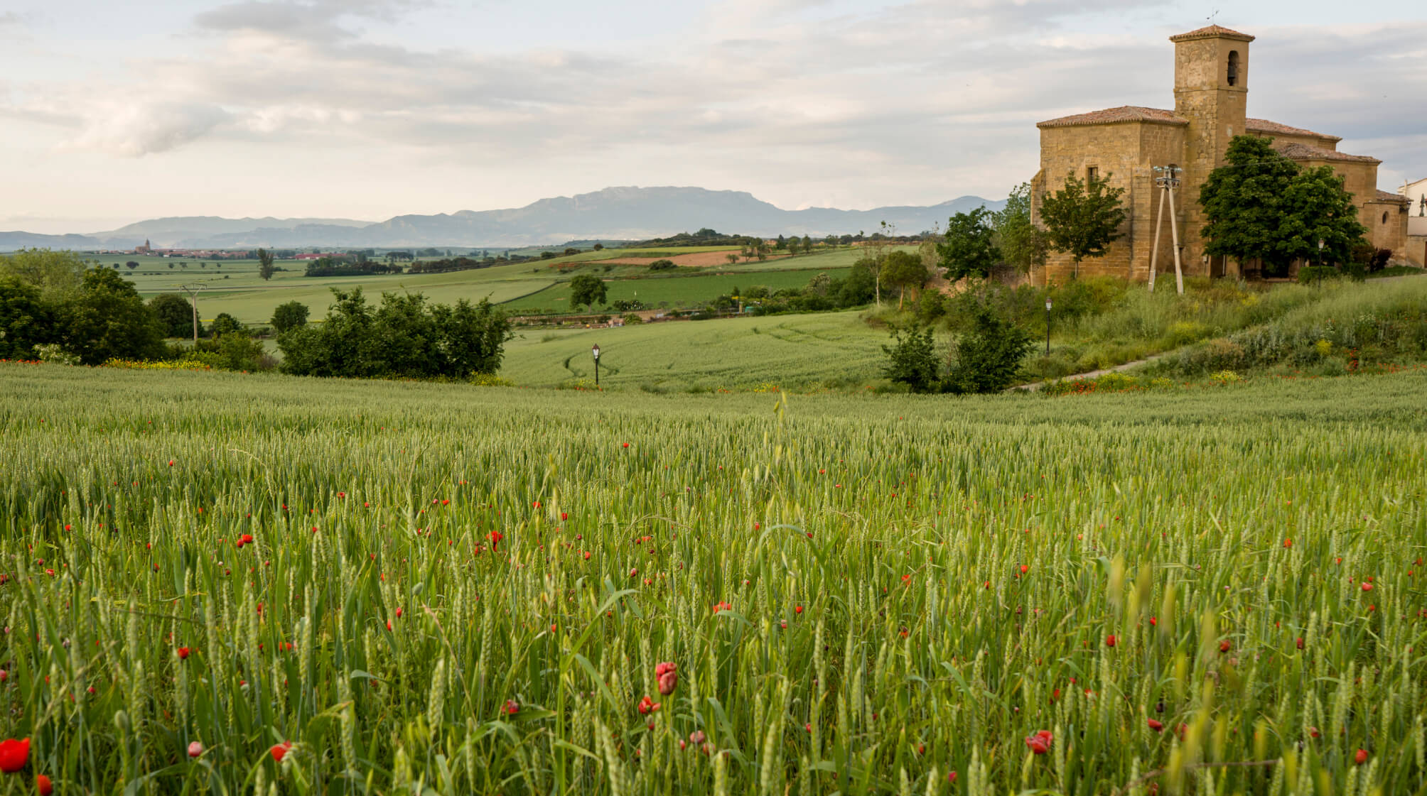 SAN TORCUATO-harocaminosantiago