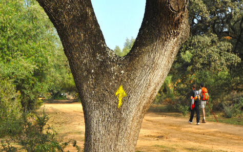 VIA DE LA PLATA-harocaminosantiago