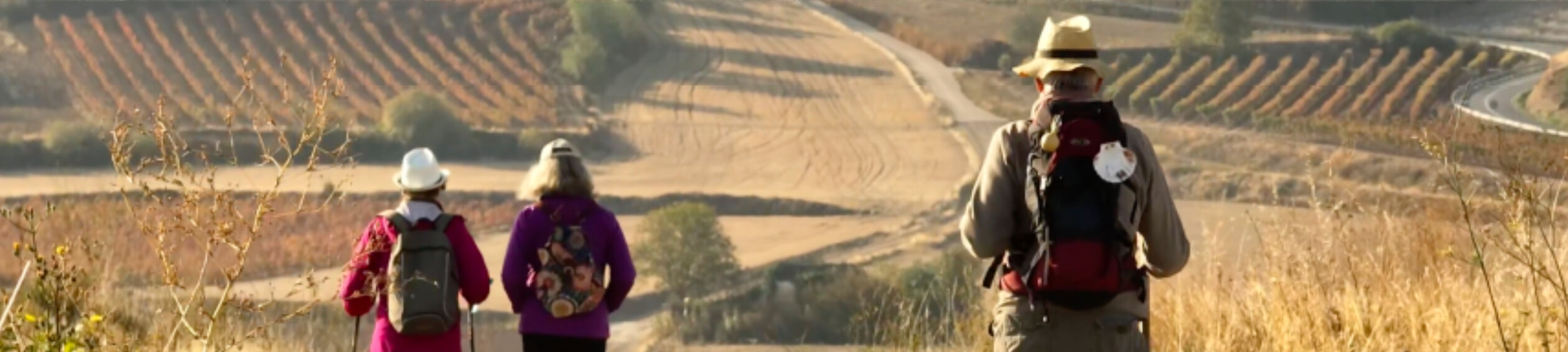 hero-CAMINOS-harocaminosantiago