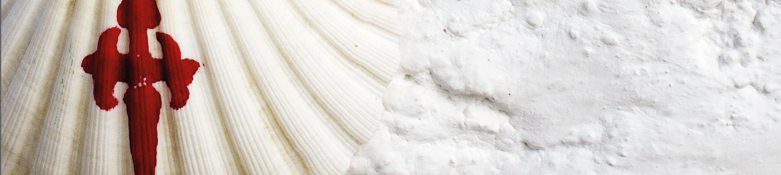 hero-NUESTRO CAMINO-harocaminosantiago