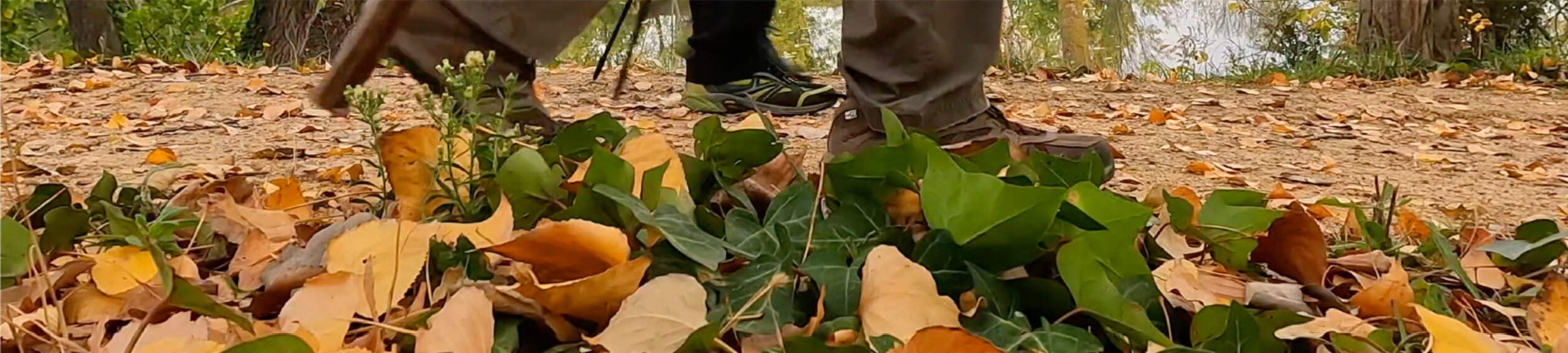 hero-la_asociacion-harocaminosantiago